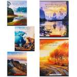 Общая тетрадь Collezione клетка 96 лист. в ассортименте
