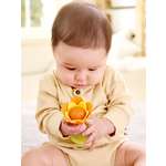 Игрушка Hape погремушка Оранжевый цветок