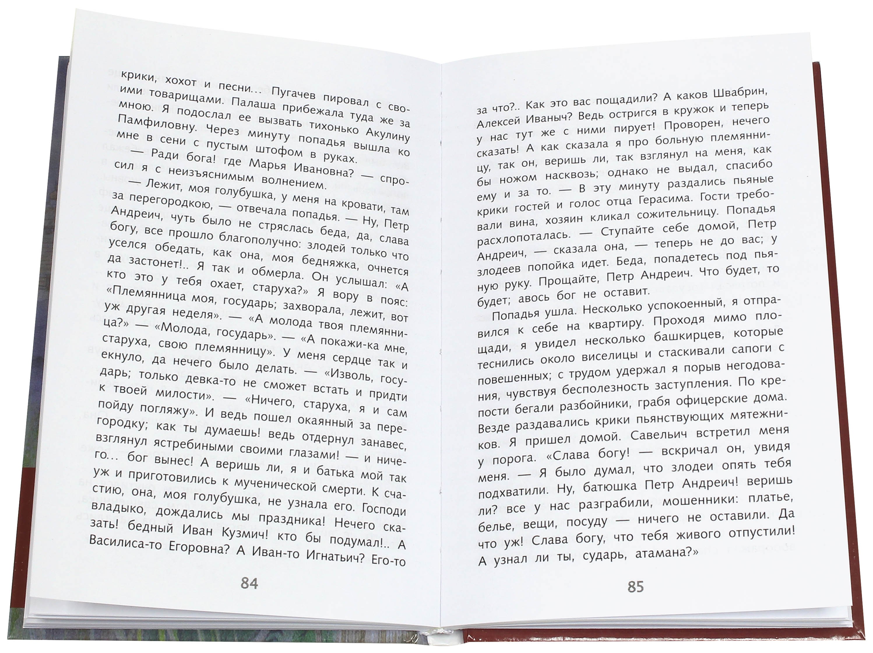 Книга Стрекозa Капитанская дочка - фото 2