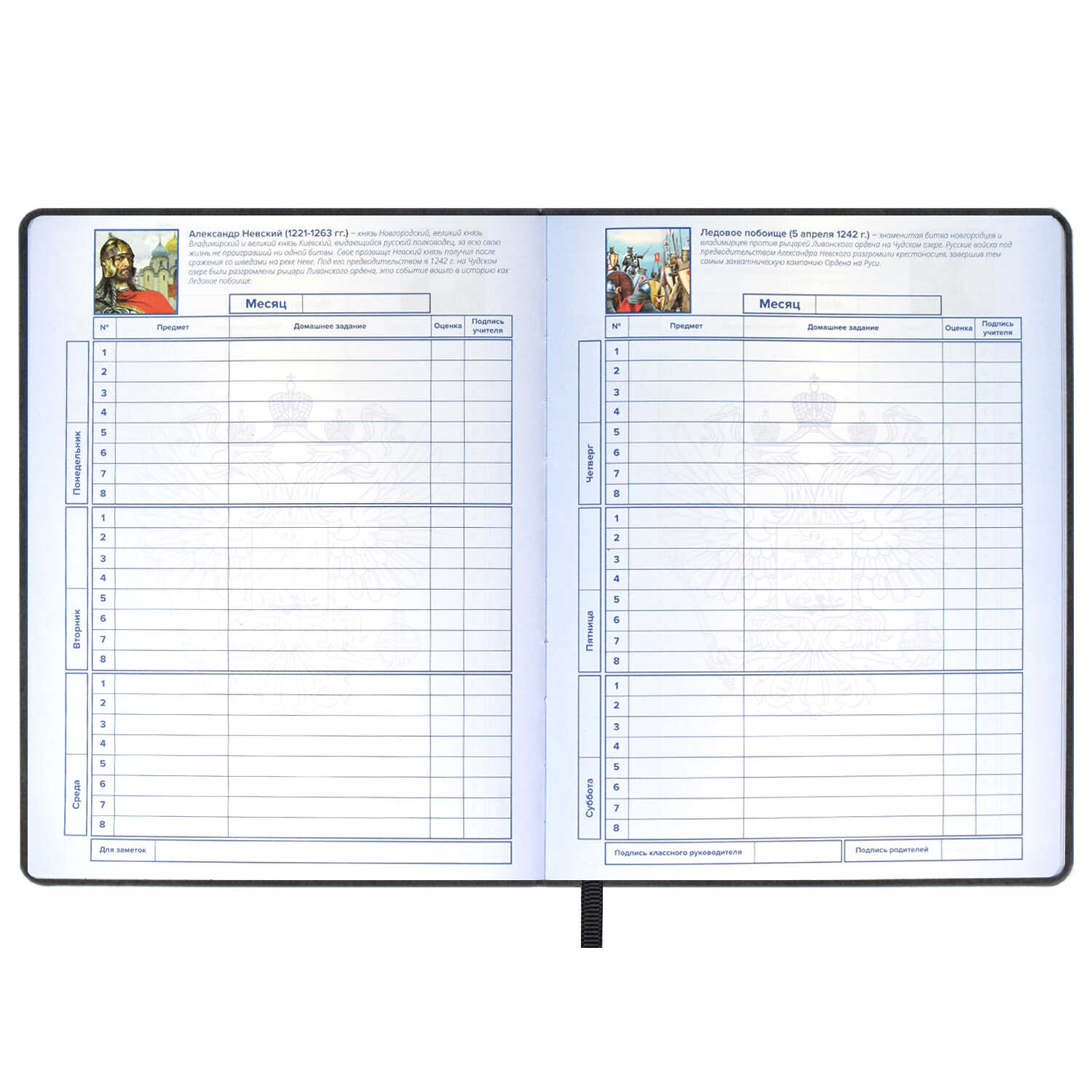 Дневник школьный Феникс + Дневник российского школьника2 - фото 6