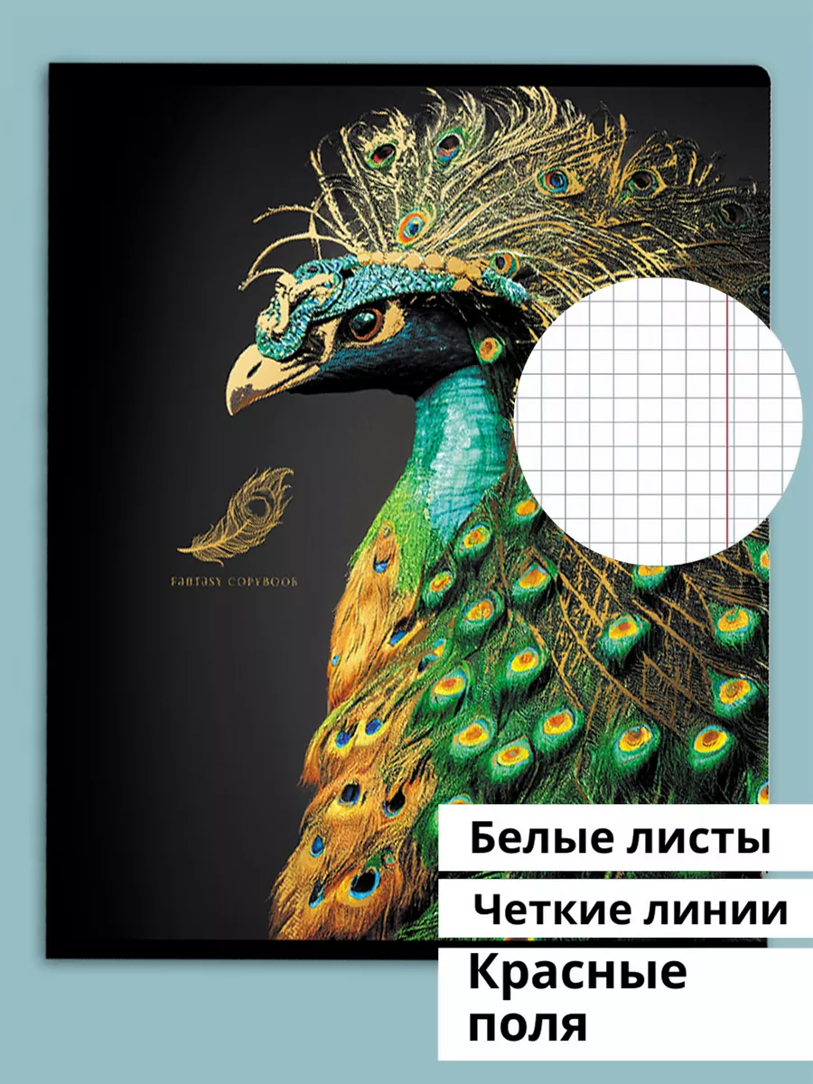 Тетрадь BG клетка 48 лист. 4 шт. - фото 2
