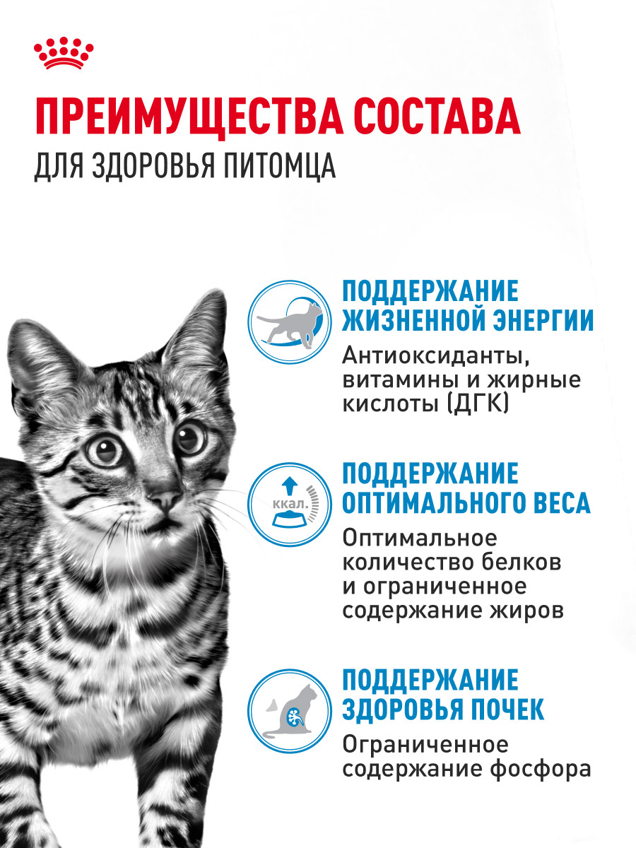 Корм для кошек ROYAL CANIN Indoor Sterilised для взрослых кастрированных и стерилизованных паштет 85г - фото 3