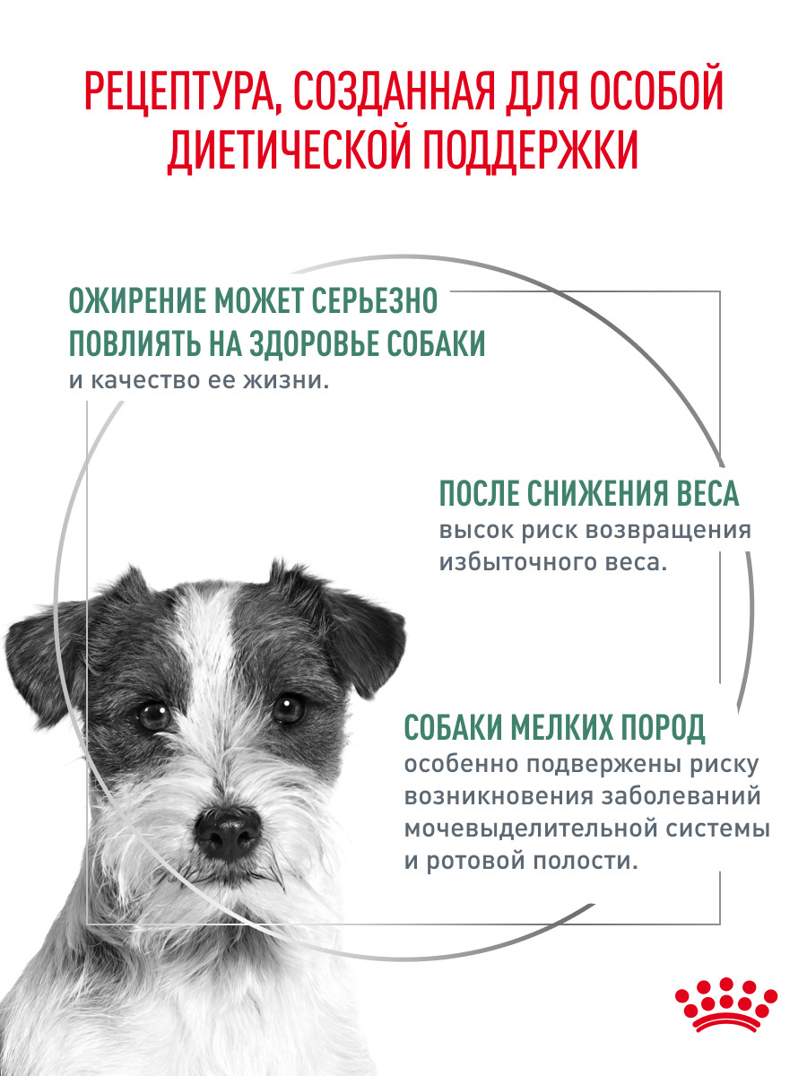 Корм для собак Royal Canin 1.5кг полнорационный для взрослых собак мелких пород для снижения веса - фото 2