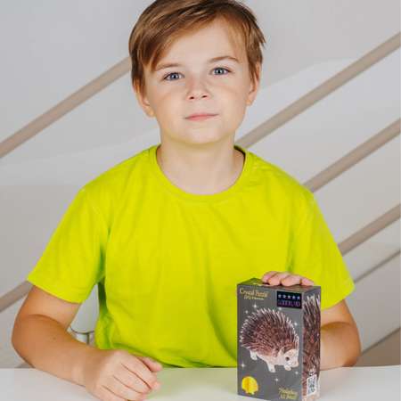 Пазл Crystal Puzzle 3D
