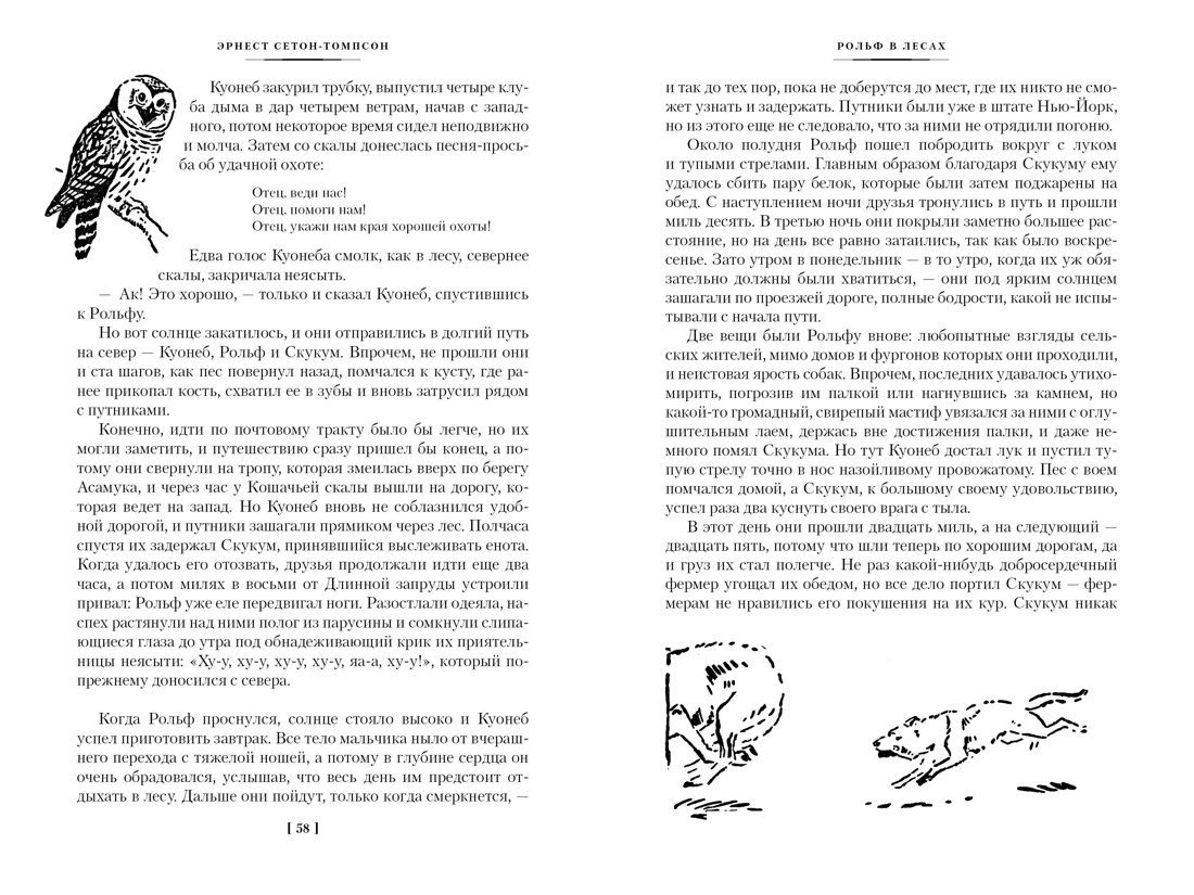 Книга АЗБУКА ИЛБК. Сетон-Томпсон Э. Рольф в лесах. Лесные рассказы (с илл.) - фото 17