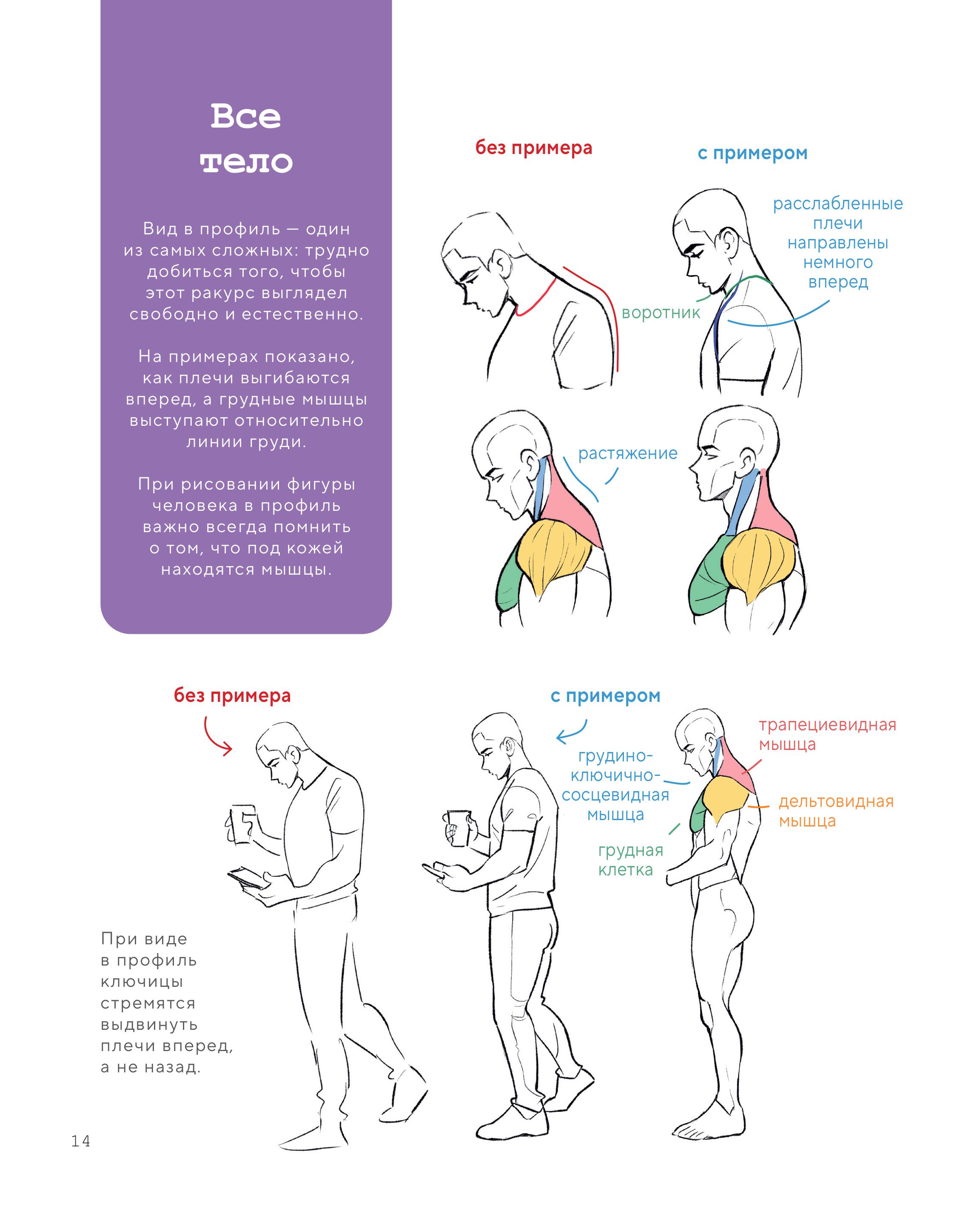 Книга БОМБОРА Как рисовать персонажей - фото 7