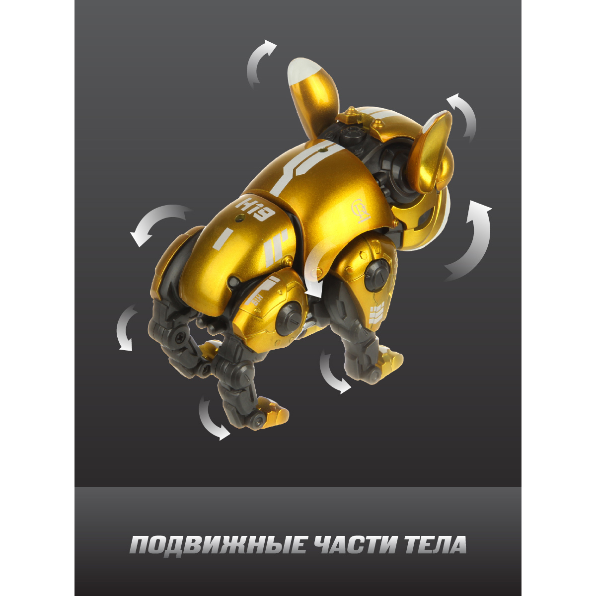 Собака РУ Veld Co - фото 4