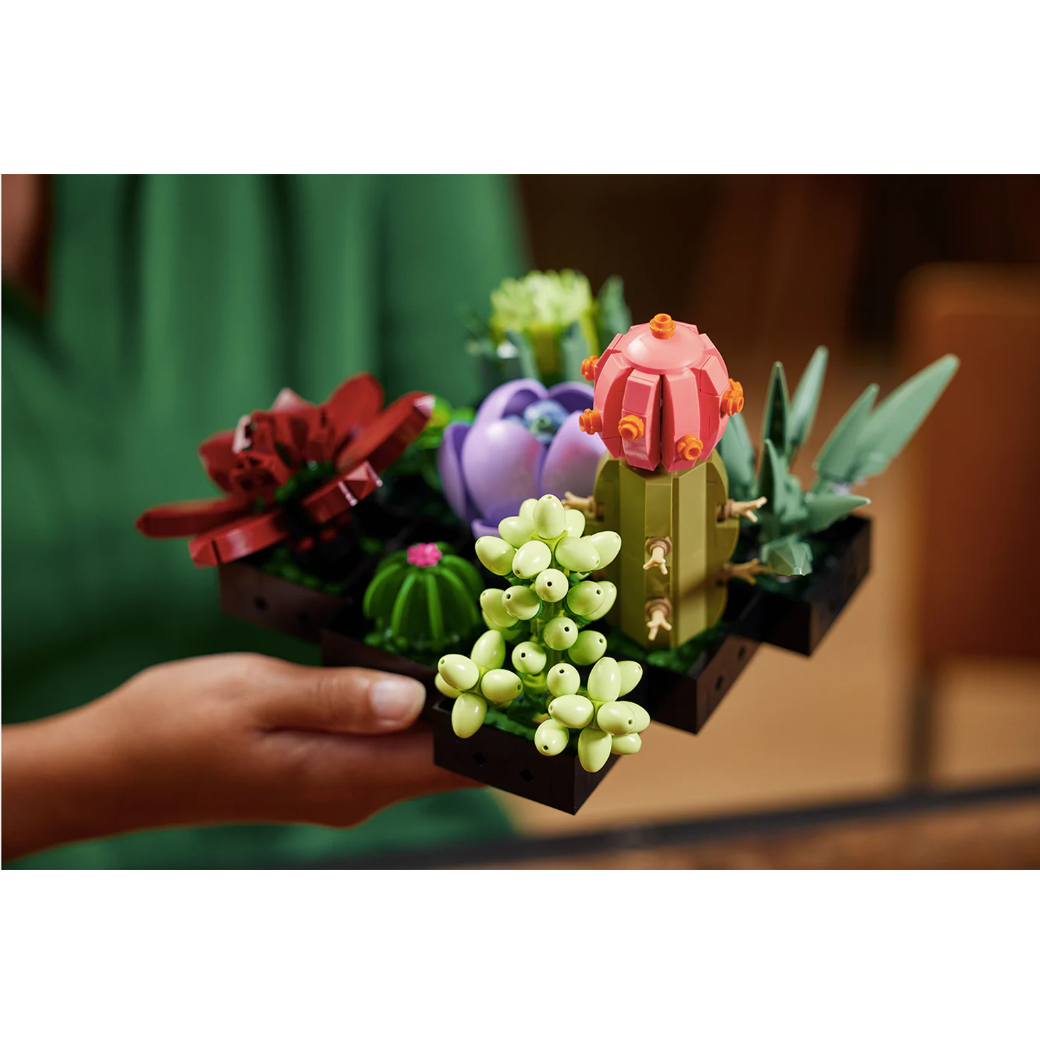 Конструктор LEGO Botanicals Кактусы 771 дет. - фото 11