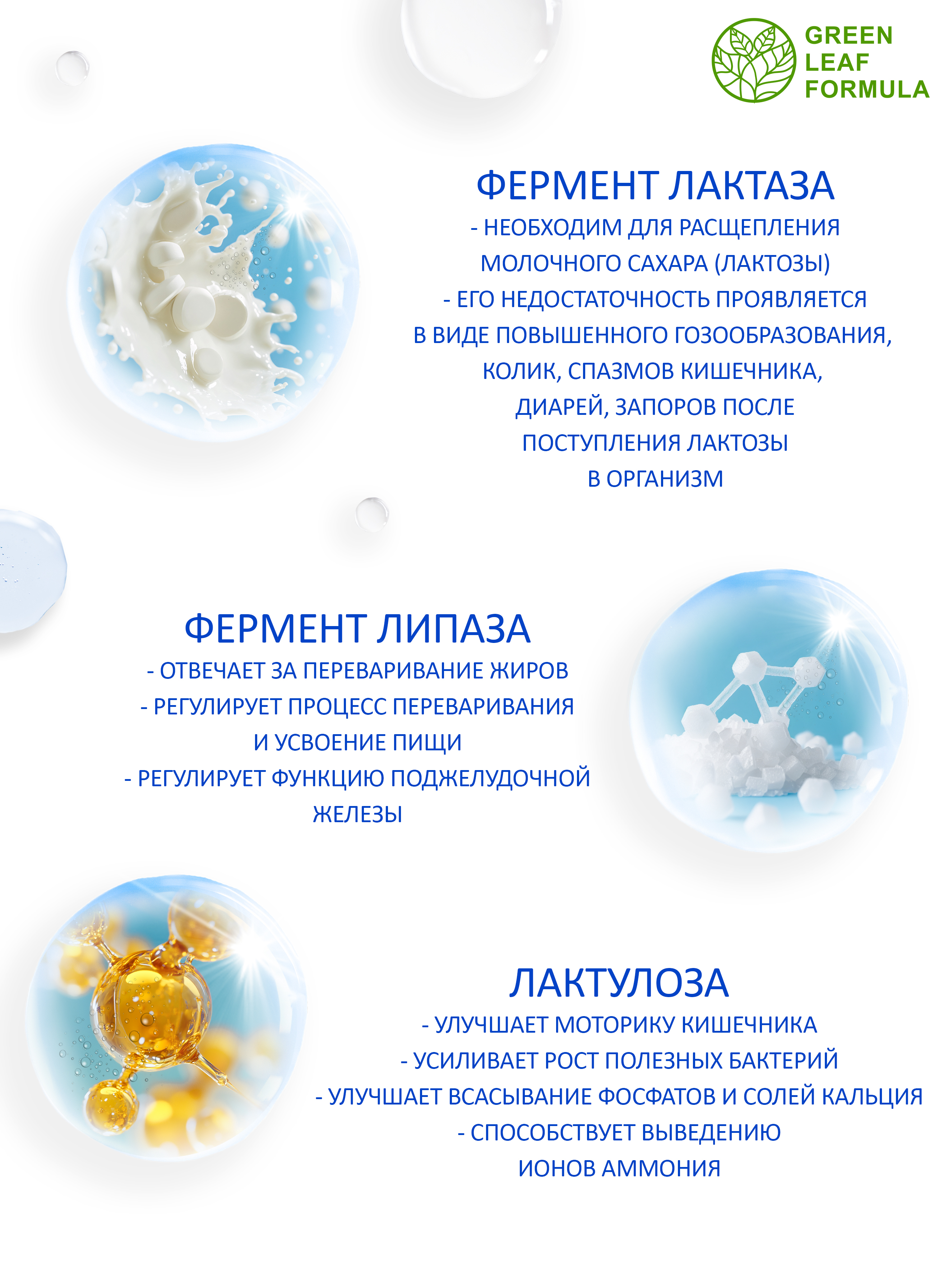 Метабиотик и витамины В Green Leaf Formula комплекс пробиотиков для кишечника - фото 6