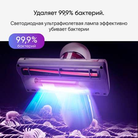 Пылесос для удаления клещей JIMMY WB55