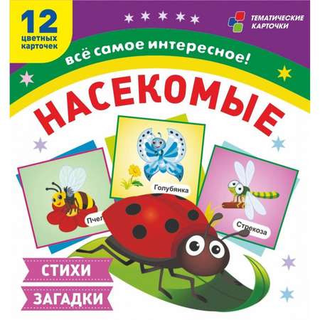 Карточки Учитель Насекомые