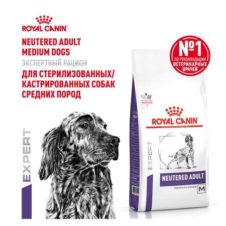 Корм для собак ROYAL CANIN Ньютрид Эдалт Медиум Догз 9кг