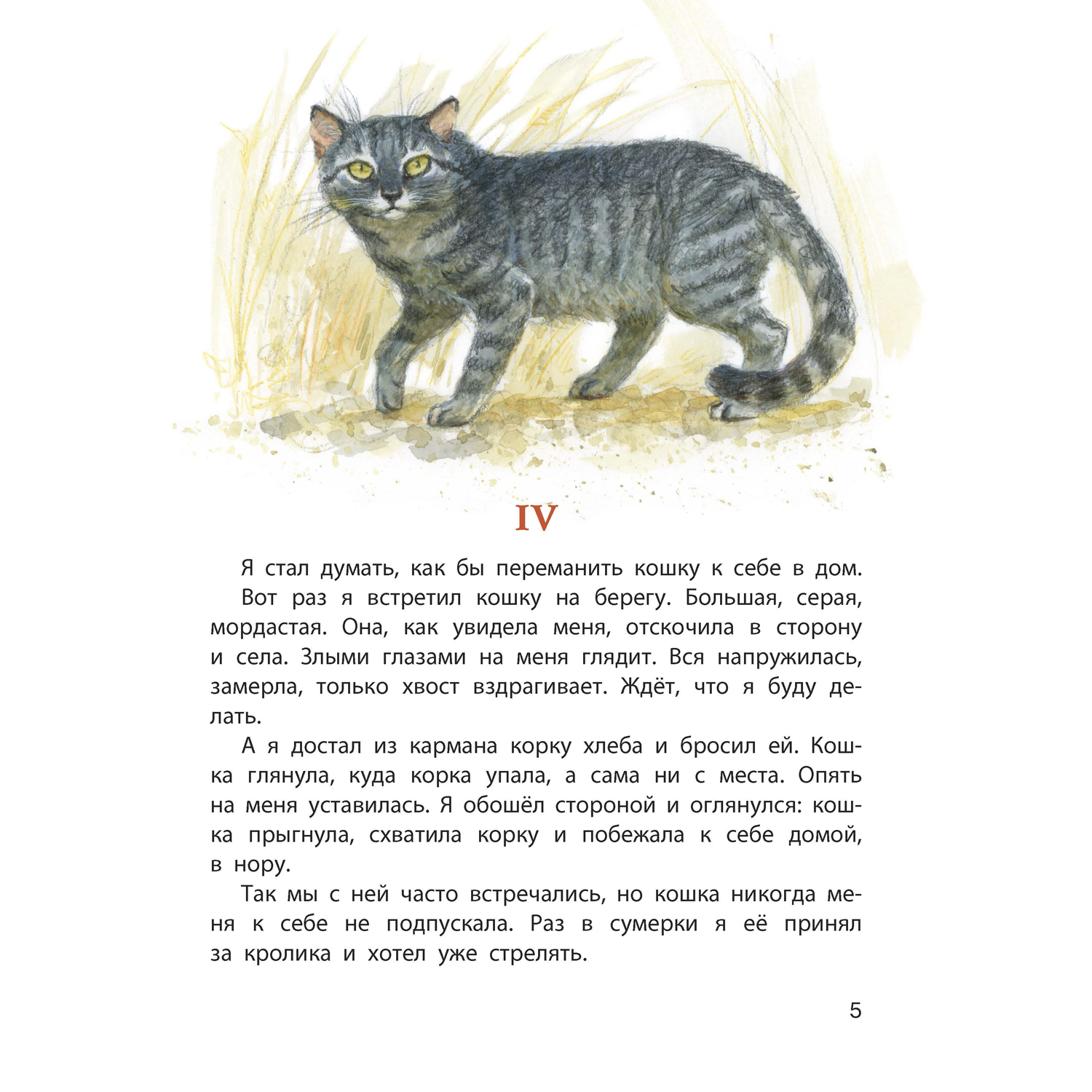 Книга ЭНАС-КНИГА Обыкновенные кошки - фото 3