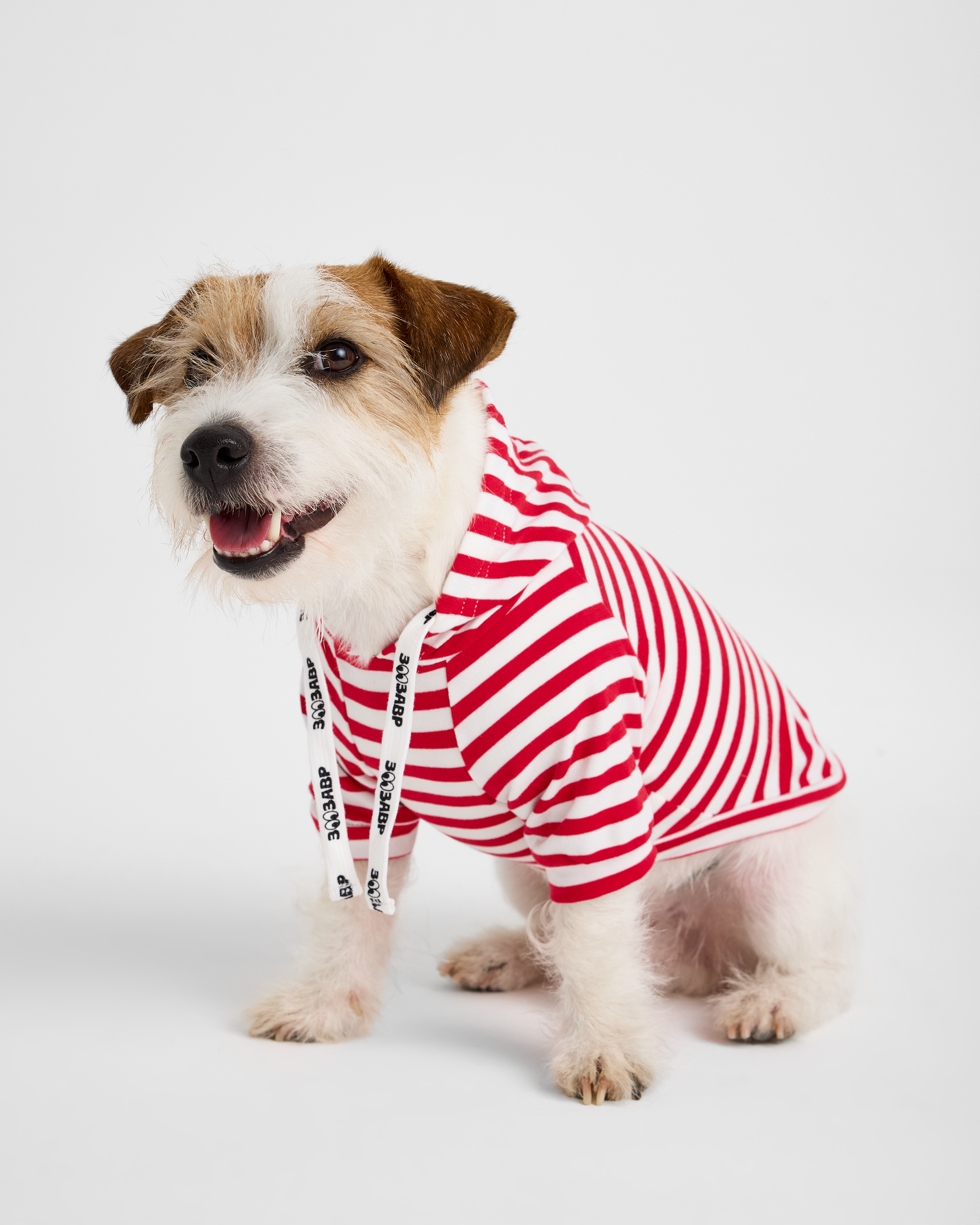 Изображение товара Худи для собак и кошек Зоозавр — красная полоска, размер L