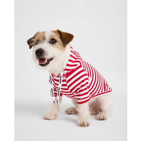 Худи для собак и кошек Зоозавр