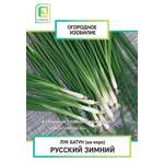 Лук батун (на зелень) Русский зимний (Огородное изобилие) 1г
