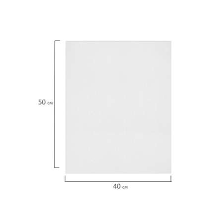 Холст для рисования Brauberg на картоне большой 40x50 см набор 2 штуки