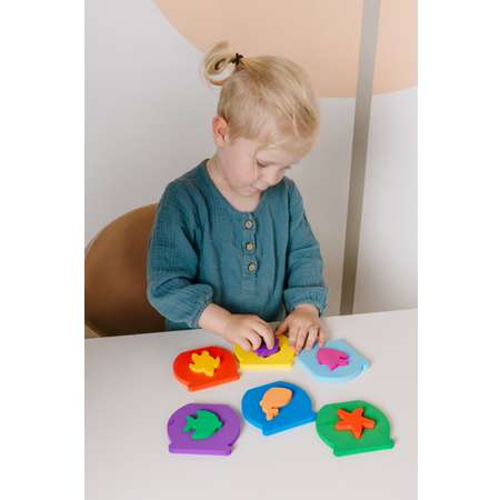 Игрушка ElBascoToys сортер