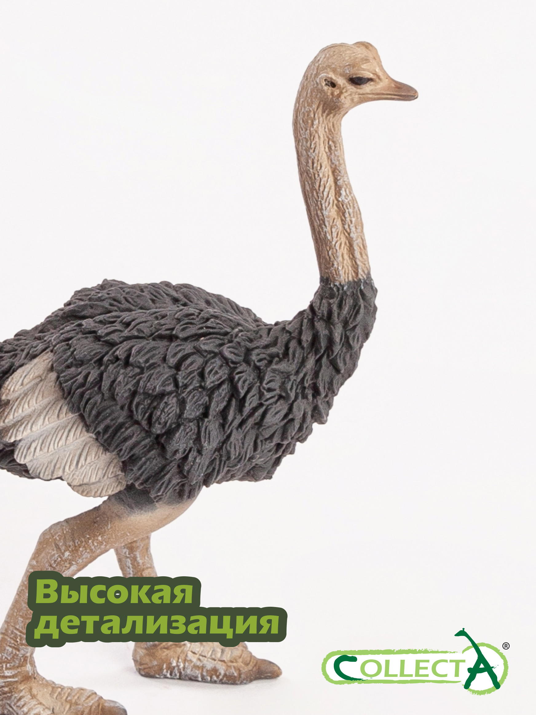 Фигурка Collecta Страус - фото 3