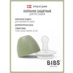 Футляр для пустышки BIBS