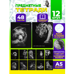 Тетрадь Prof-Press 48 лист. 12 шт.