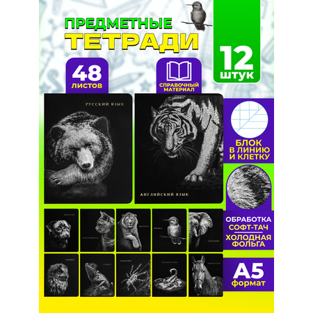 Тетрадь Prof-Press 48 лист. 12 шт.