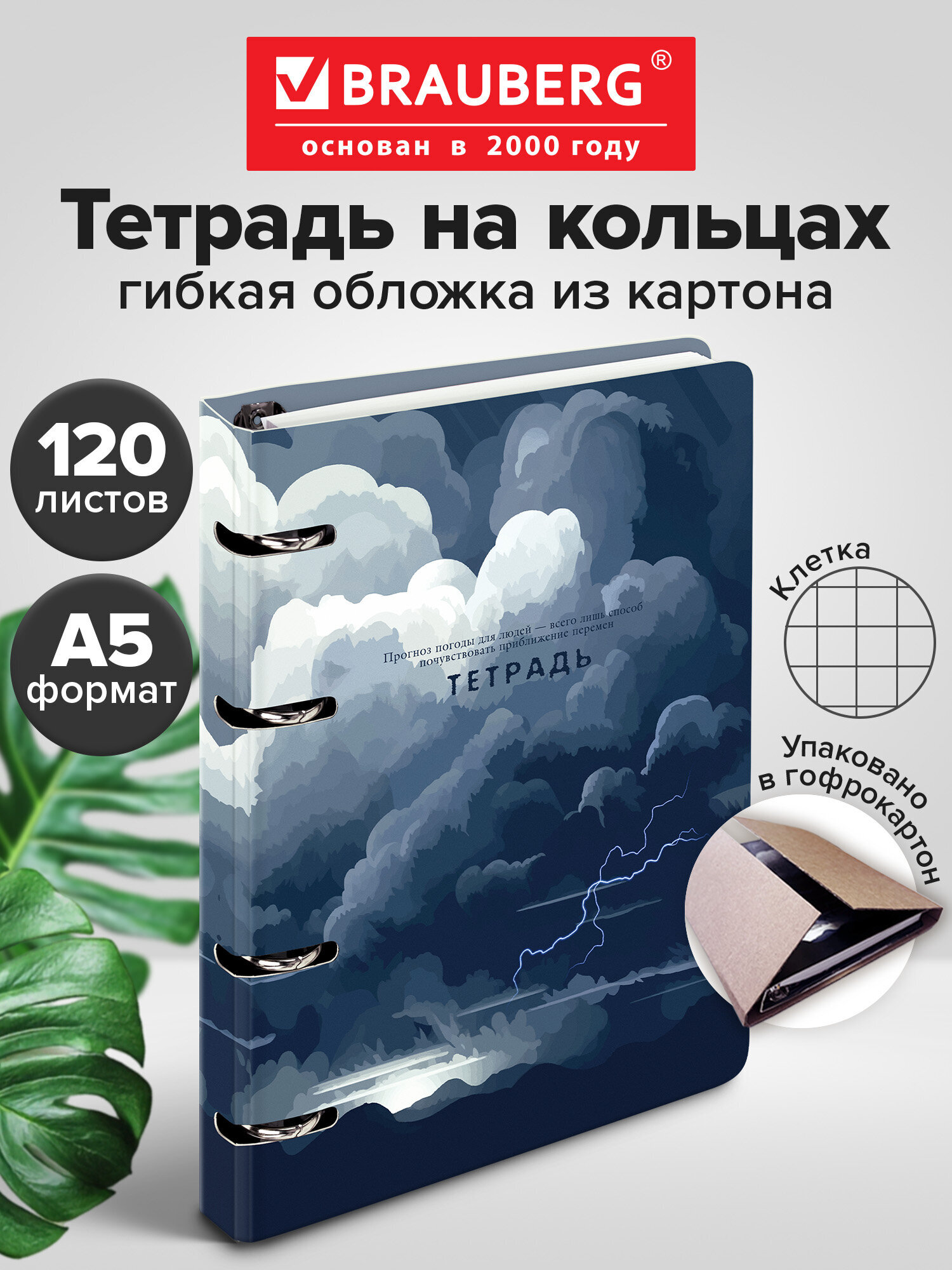 Тетрадь Brauberg клетка 120 лист. - фото 1
