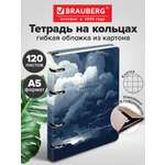 Тетрадь Brauberg клетка 120 лист.