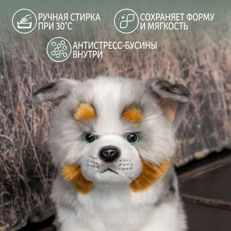Мягкая игрушка Gulliver собачка Австралийская собака 27 см 27 см
