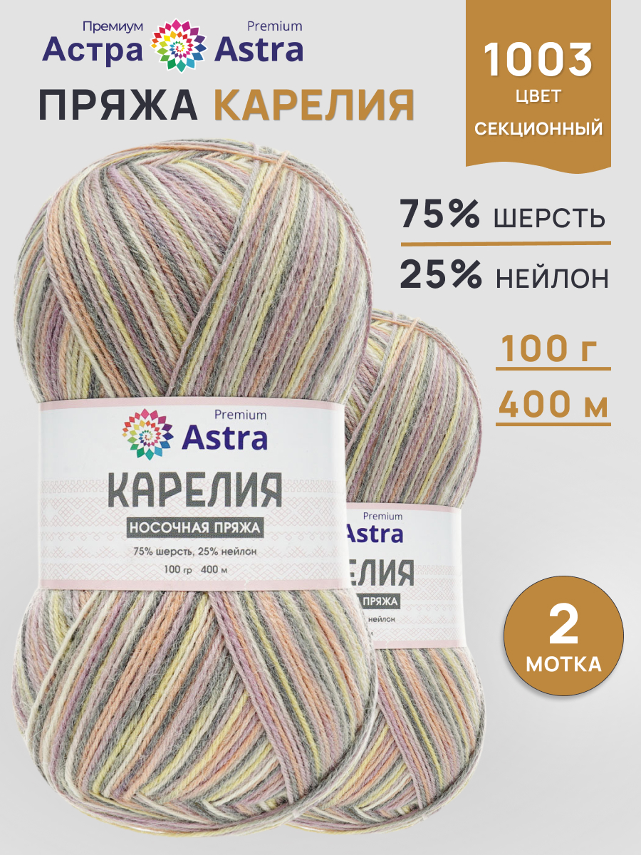 Пряжа для вязания Astra Premium карелия носочная шерсть нейлон 100 гр 400 м цвет 1003 2 мотка - фото 1