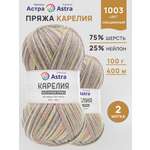 Пряжа для вязания Astra Premium карелия носочная шерсть нейлон 100 гр 400 м цвет 1003 2 мотка