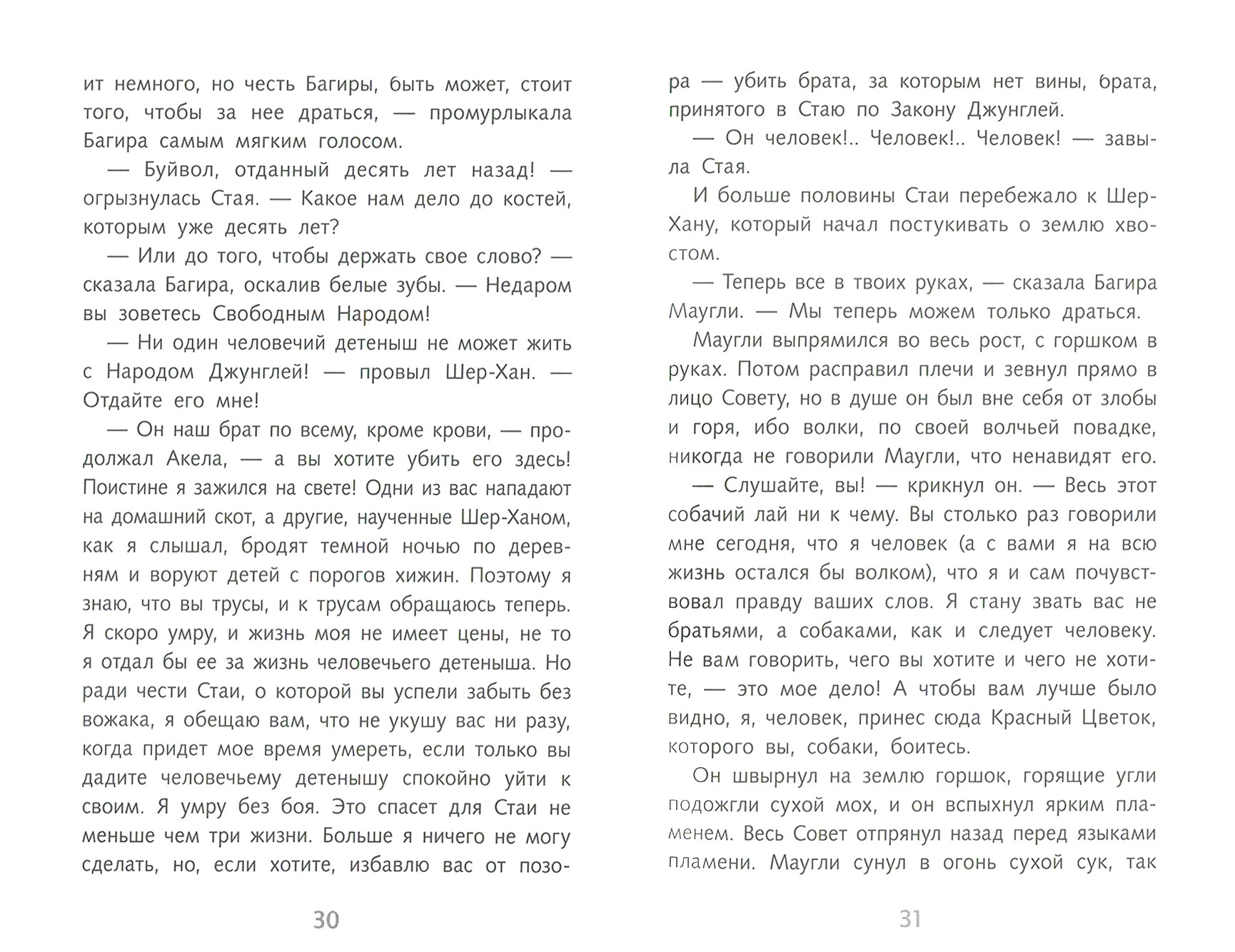 Книга Стрекозa Маугли - фото 2