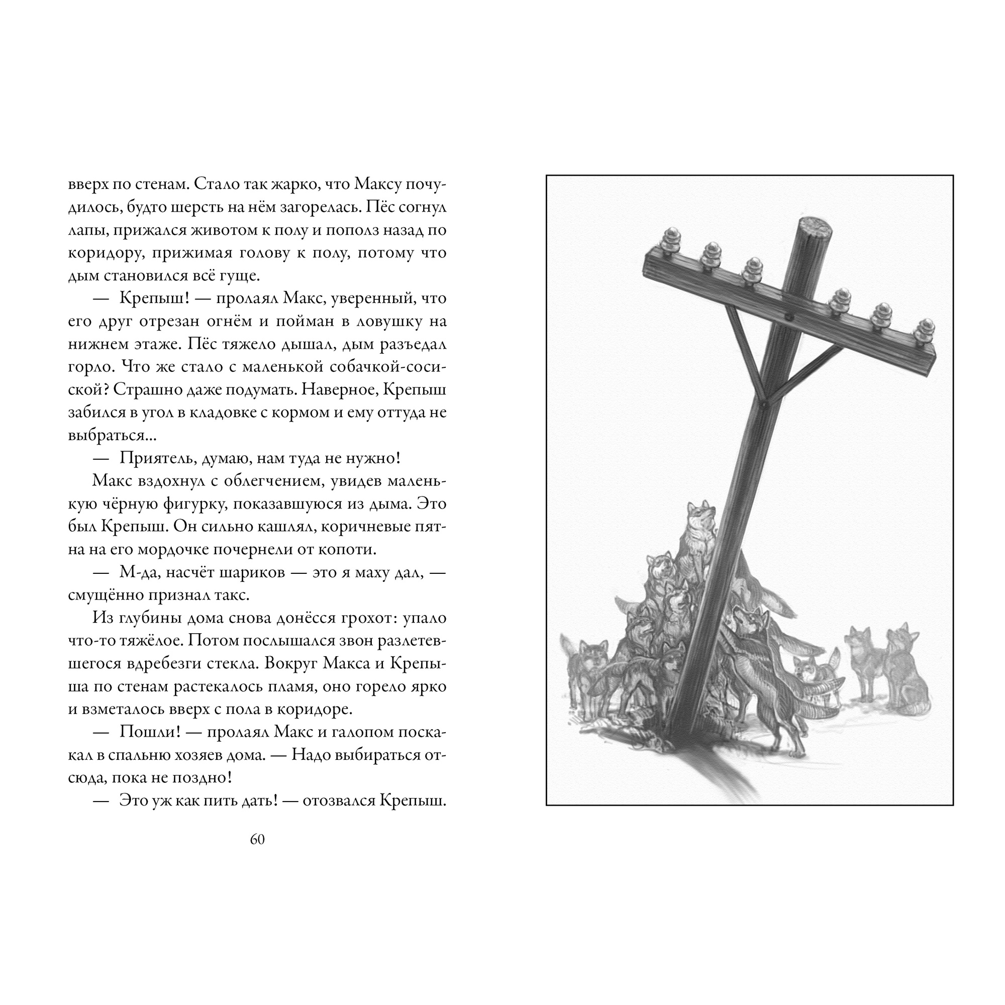 Книга АЗБУКА Верные. Книга 1. Когда исчезли все люди - фото 5