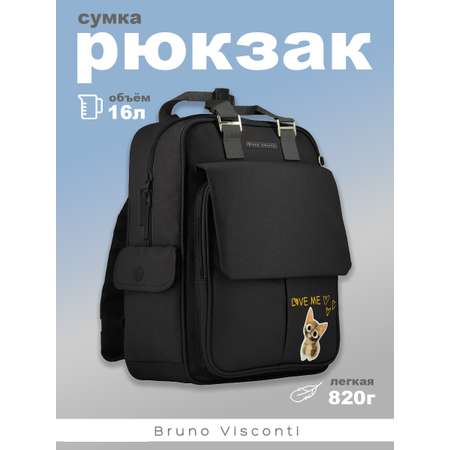 Школьная сумка Bruno Visconti для ноутбука