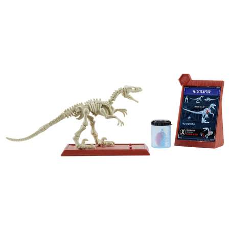 Наглядное пособие Jurassic World в ассортименте