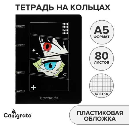 Тетрадь со сменным блоком Calligrata клетка 80 лист.
