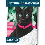 Картина по номерам Art sensation Черный кот в ассортименте