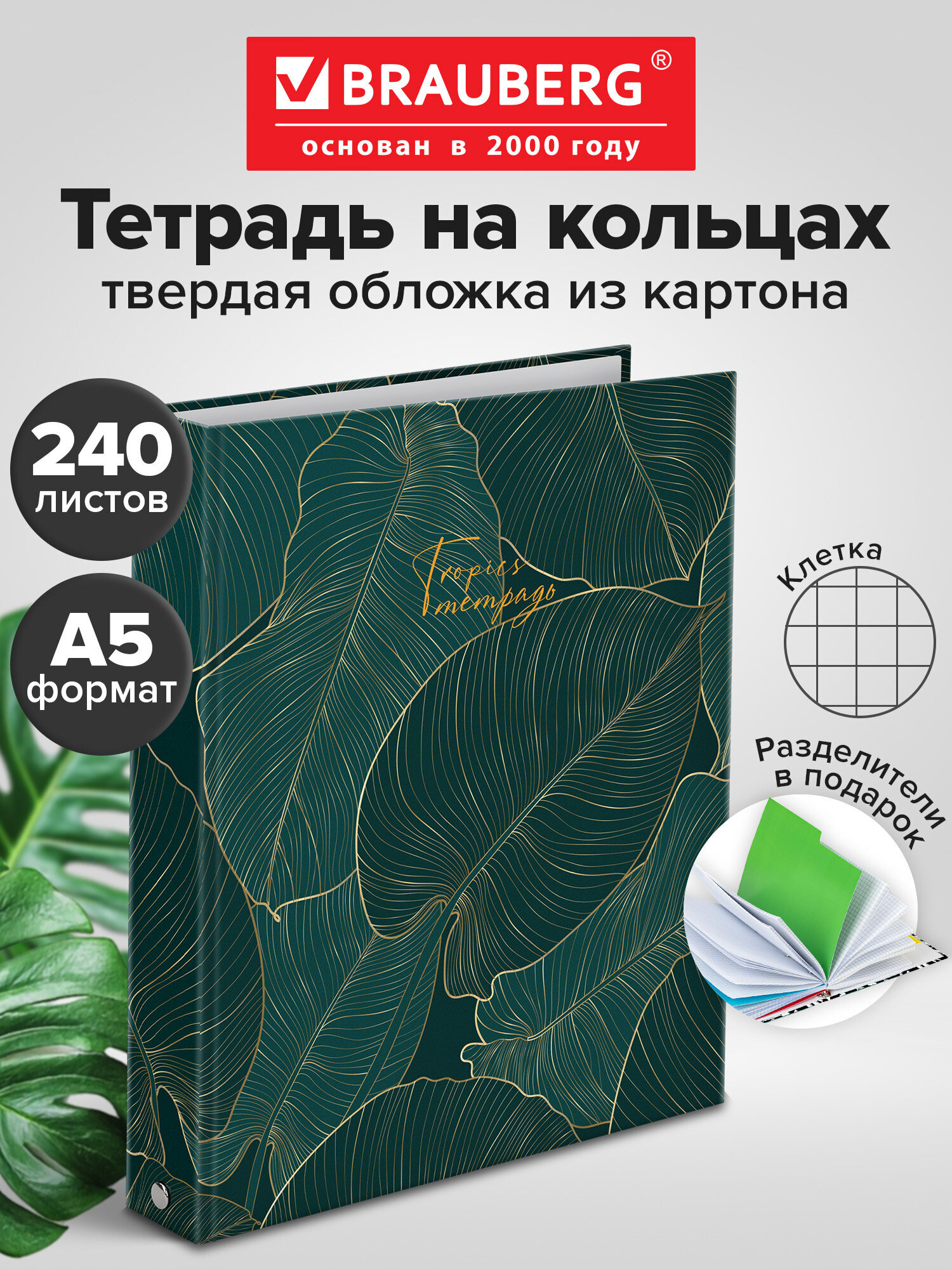 Тетрадь со сменным блоком Brauberg клетка 240 лист. - фото 2