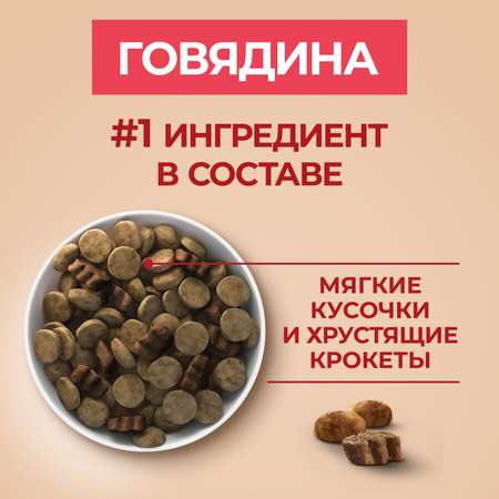 Корм для собак Purina One средних и крупных пород говядина-рис 1.8кг