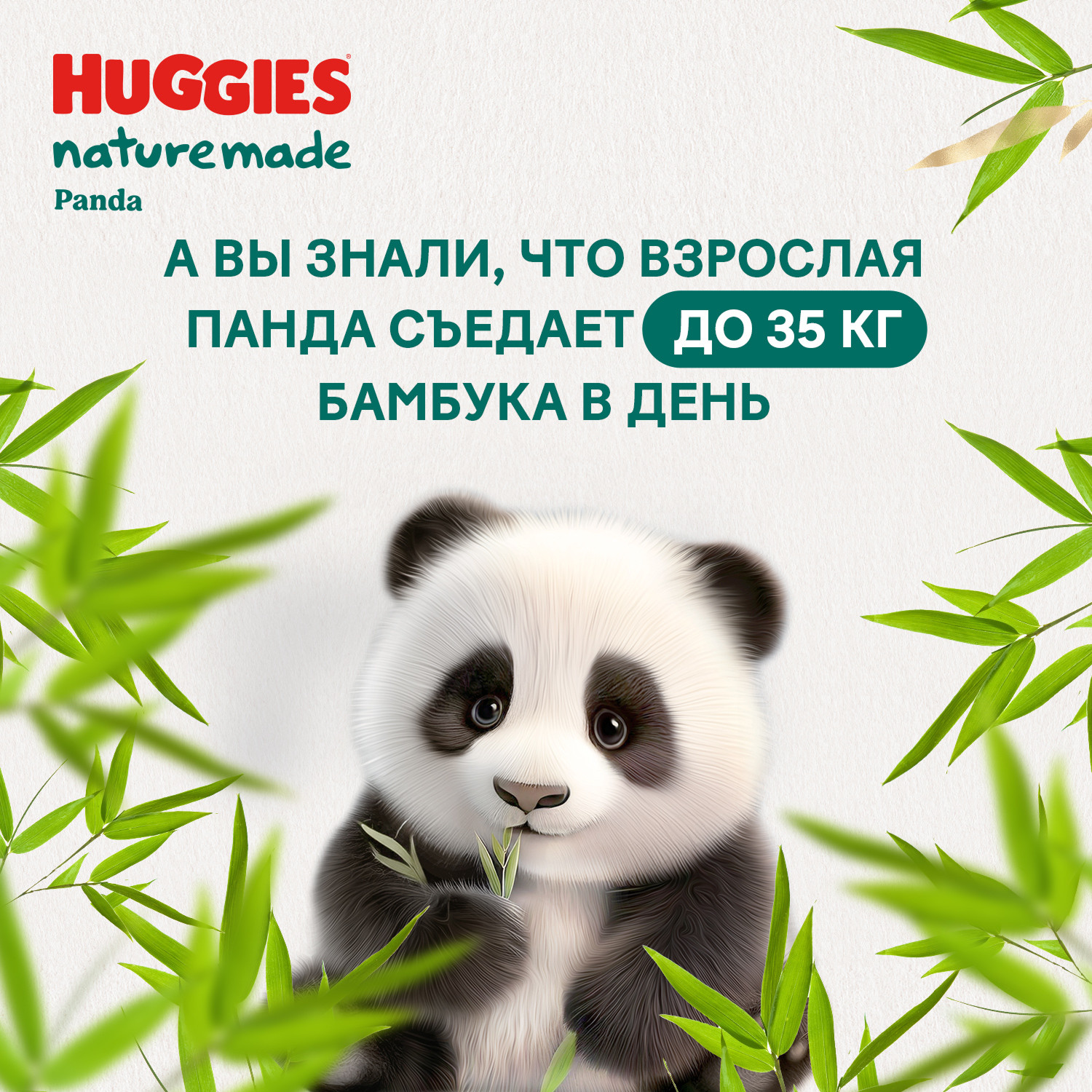 Подгузники Huggies Naturemade Panda M (5-9кг) 62 шт. - фото 15