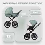 Коляска 2в1 Riko Basic Montana X Ecco Prestige зеленый
