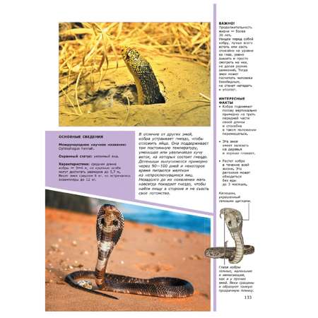 Книга АСТ Красочный Мир Животные