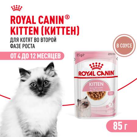 Корм влажный для котят ROYAL CANIN Kitten 85г кусочки в соусе 77851