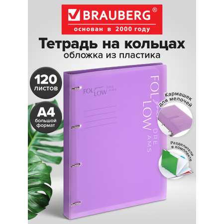 Тетрадь со сменным блоком Brauberg клетка 120 лист.