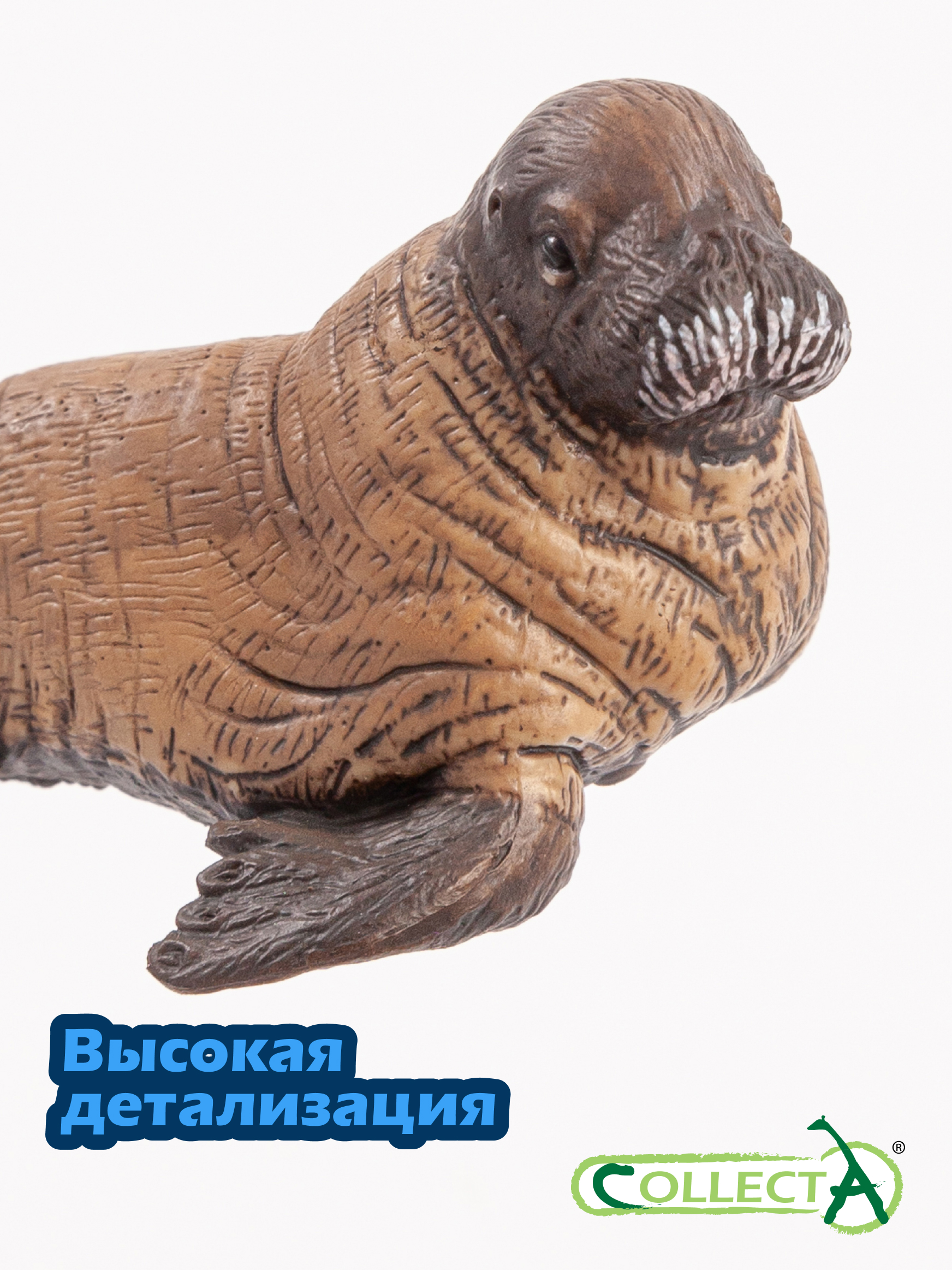 Фигурка Collecta Детёныш моржа - фото 3