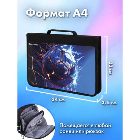 Папка для труда Brauberg А4