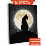 Алмазная мозаика Art sensation Свидание с луной в ассортименте