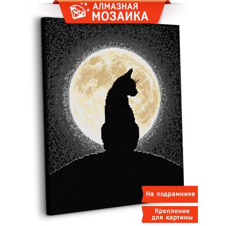 Алмазная мозаика Art sensation Свидание с луной в ассортименте