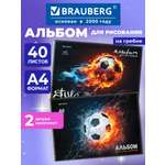 Альбом Brauberg А4 40 лист. 2 шт.