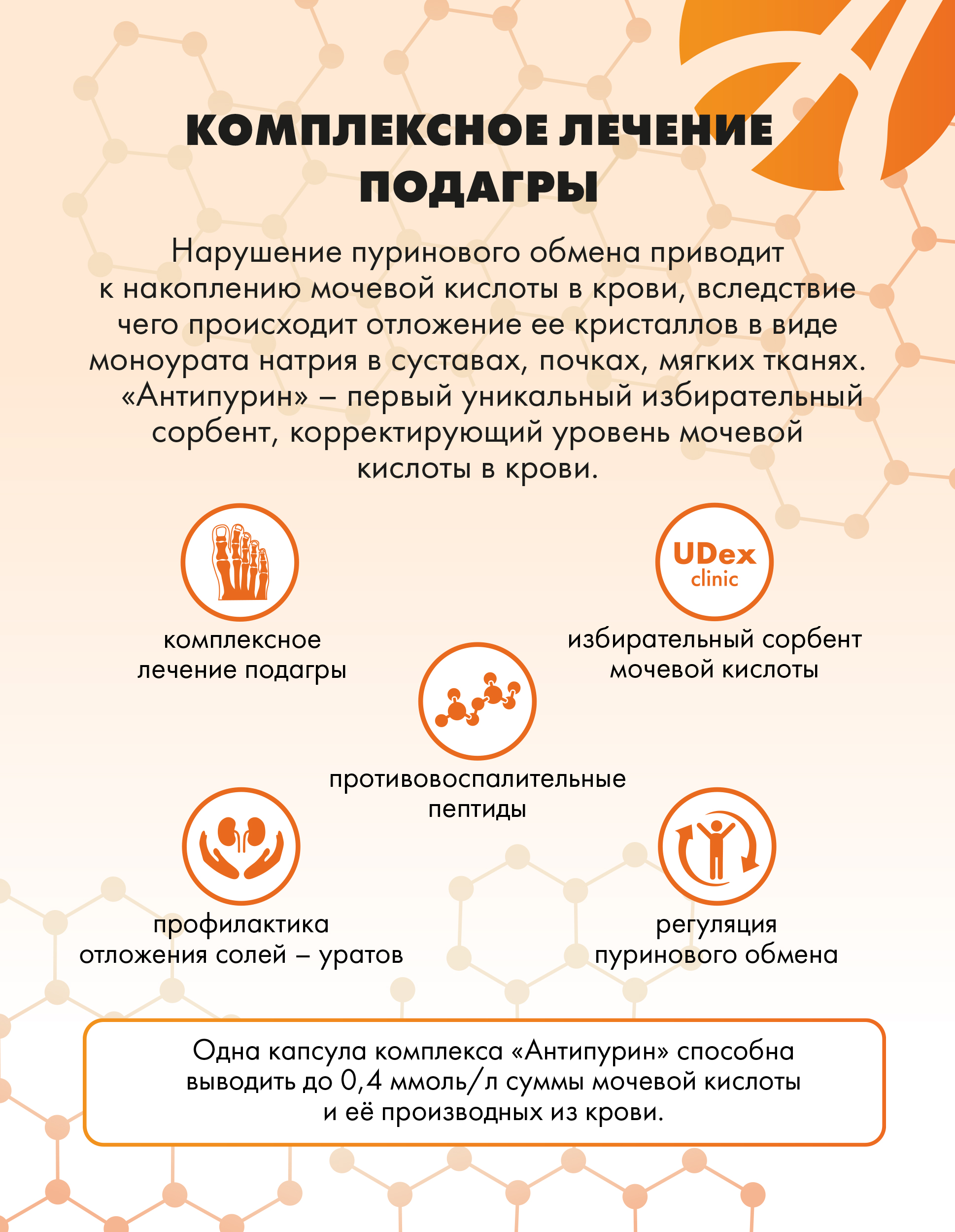 Коррекция пуринового обмена Арт Лайф Антипурин - фото 4